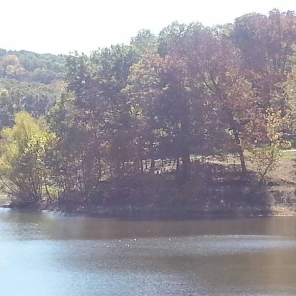 Meet your Posher, Kim - Picture 1 of 1